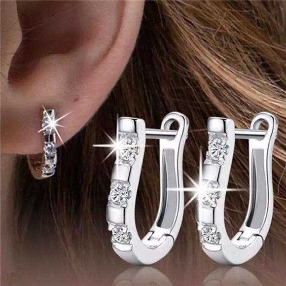 NEW!💙💎HORSE SHOE! BEAUTIFUL CZ EARRING💎💙BLING! - Picture 7 of 8